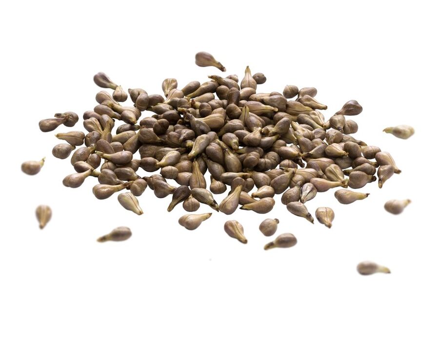 Krem żylonowy zawiera olej z nasion winogron